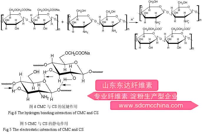 制備羧甲基纖維素鈉和聚乙烯醇的共混膜的意義